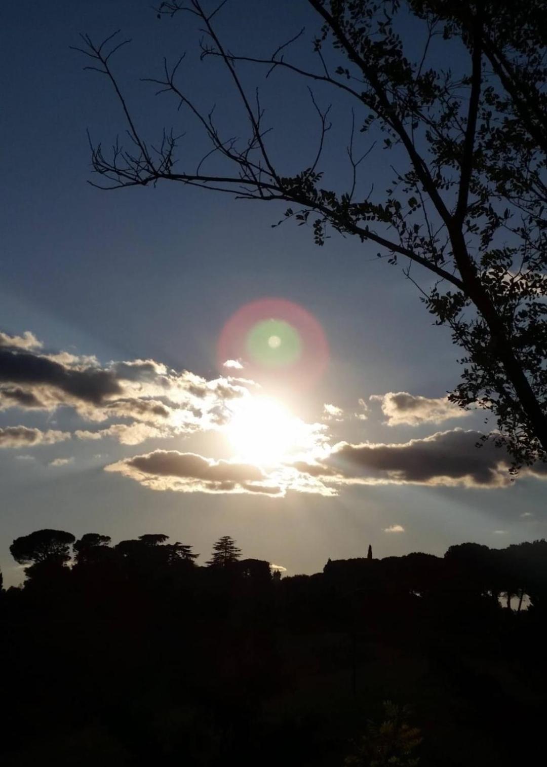 La Mimosa Daire Dozza Dış mekan fotoğraf