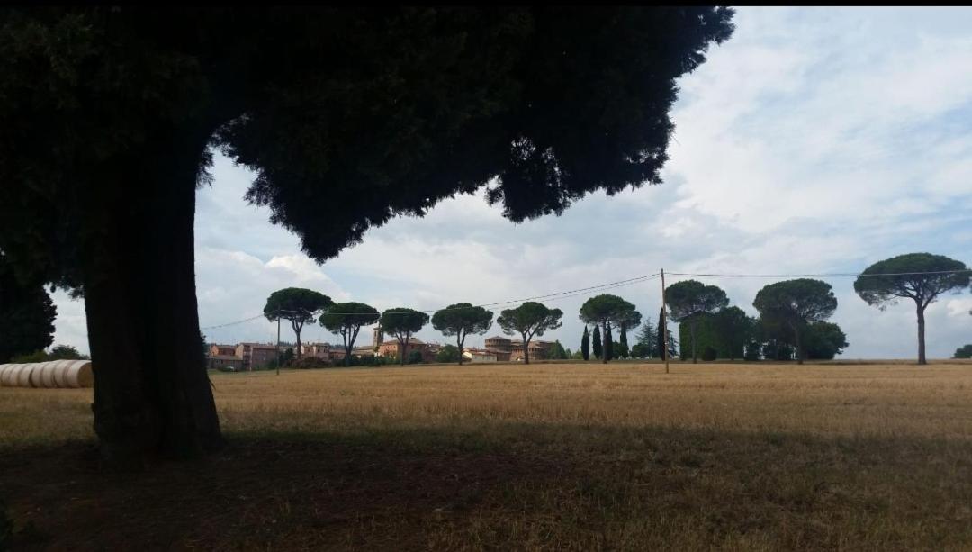 La Mimosa Daire Dozza Dış mekan fotoğraf