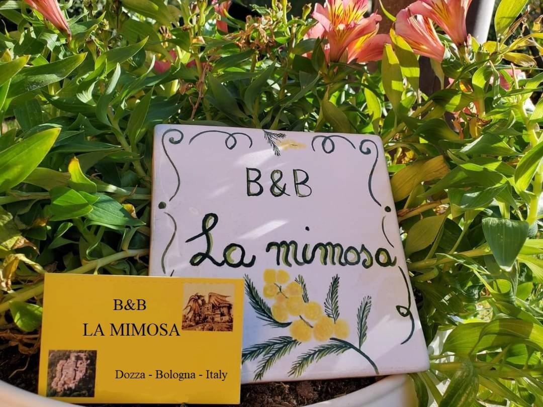 La Mimosa Daire Dozza Dış mekan fotoğraf
